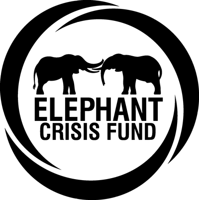 ECF logo