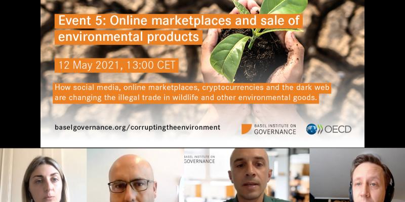 Zoom screenshot and opening slide of Corrupting the Environment series 5 on cybercrime and illegal wildlife trade