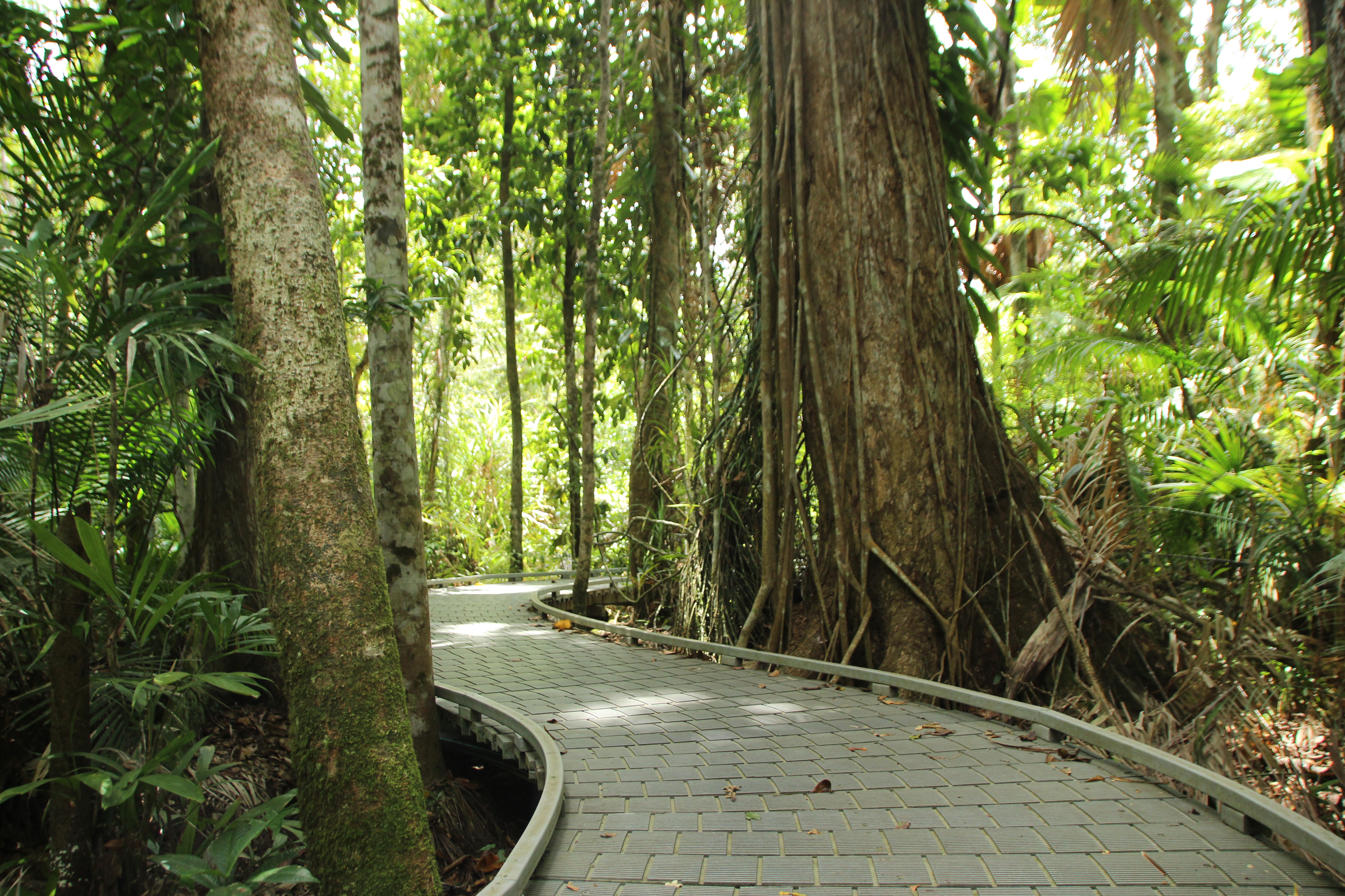 New Norway-backed initiative to strengthen forest integrity