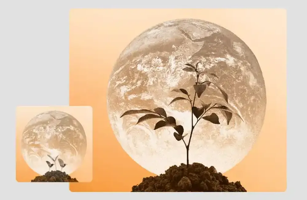 From seedlings to saplings of hope: updated report on promising efforts to address environmental corruption