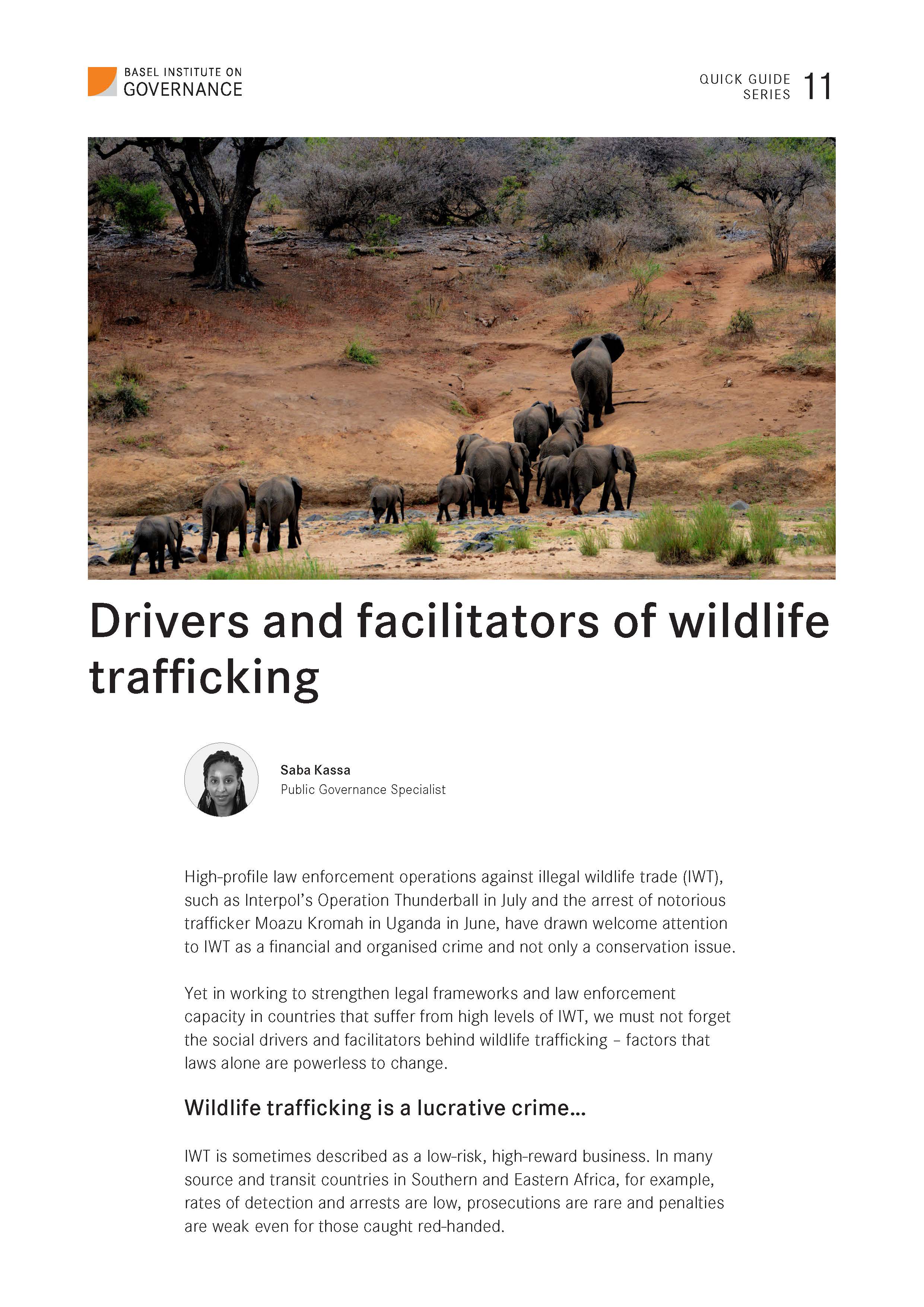 Quick Guide 11: Drivers and facilitators of wildlife trafficking