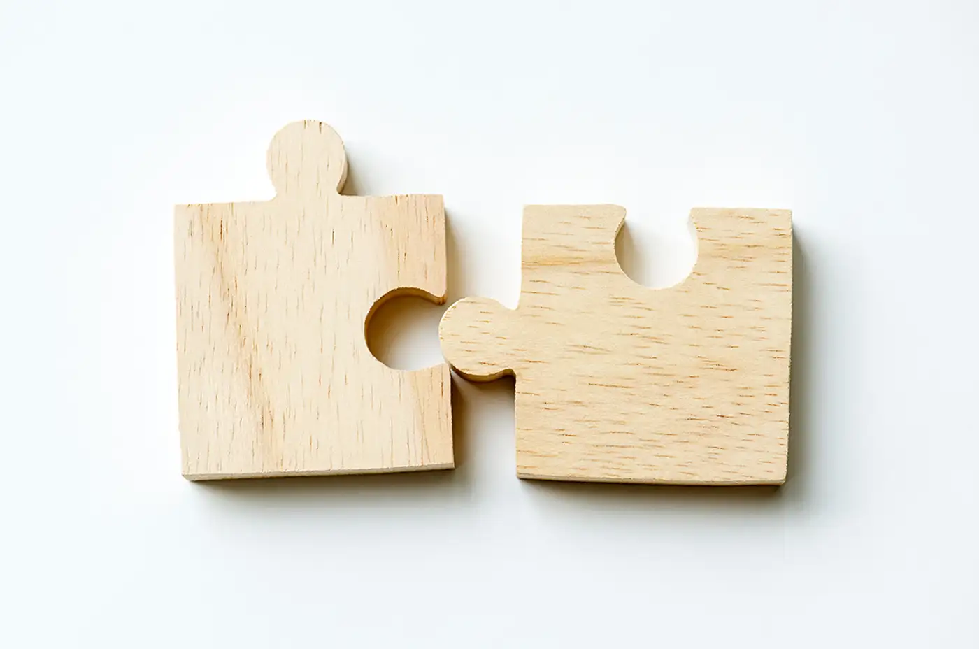 Connecting the anti-corruption and human rights agendas: challenges and opportunities for Collective Action