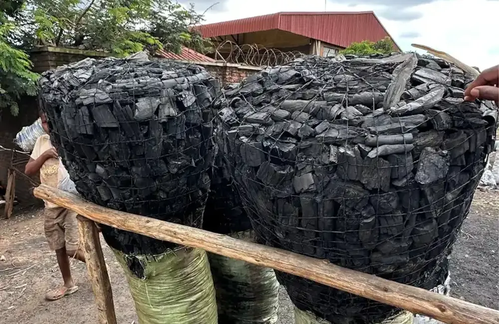 Advancing Malawi’s efforts against corruption and environmental crime