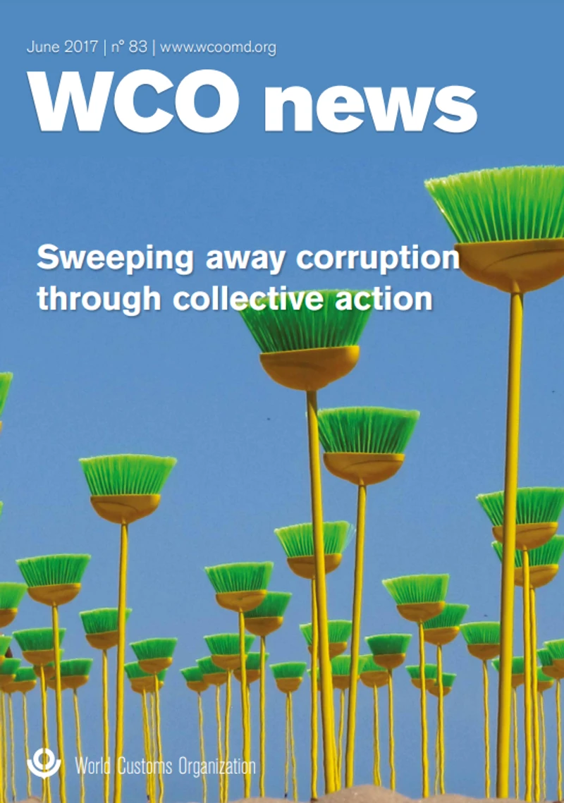 Sweeping Away Corruption Through Collective Action cover