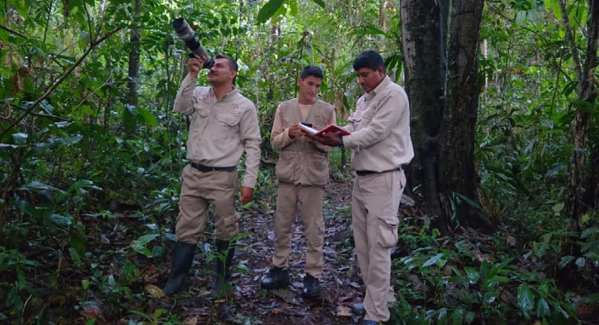 Early warning systems against deforestation in Peru
