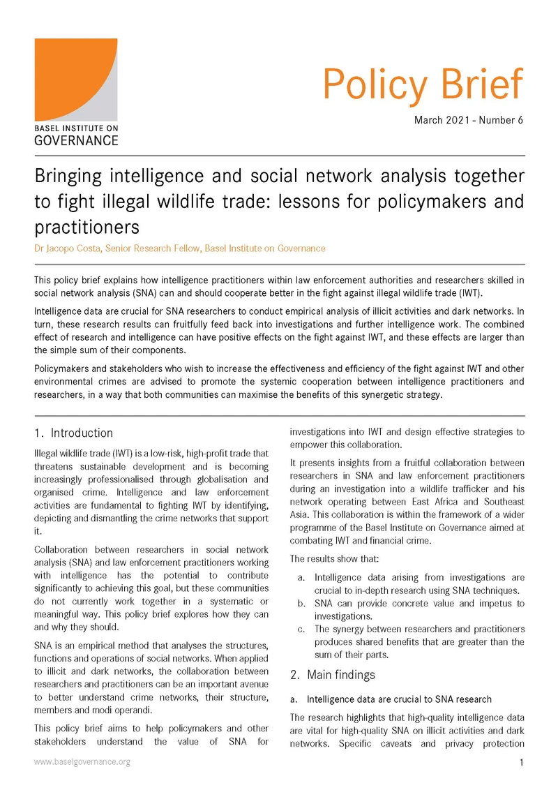 Policy Brief 6: Bringing intelligence and social network analysis together to fight illegal wildlife trade cover
