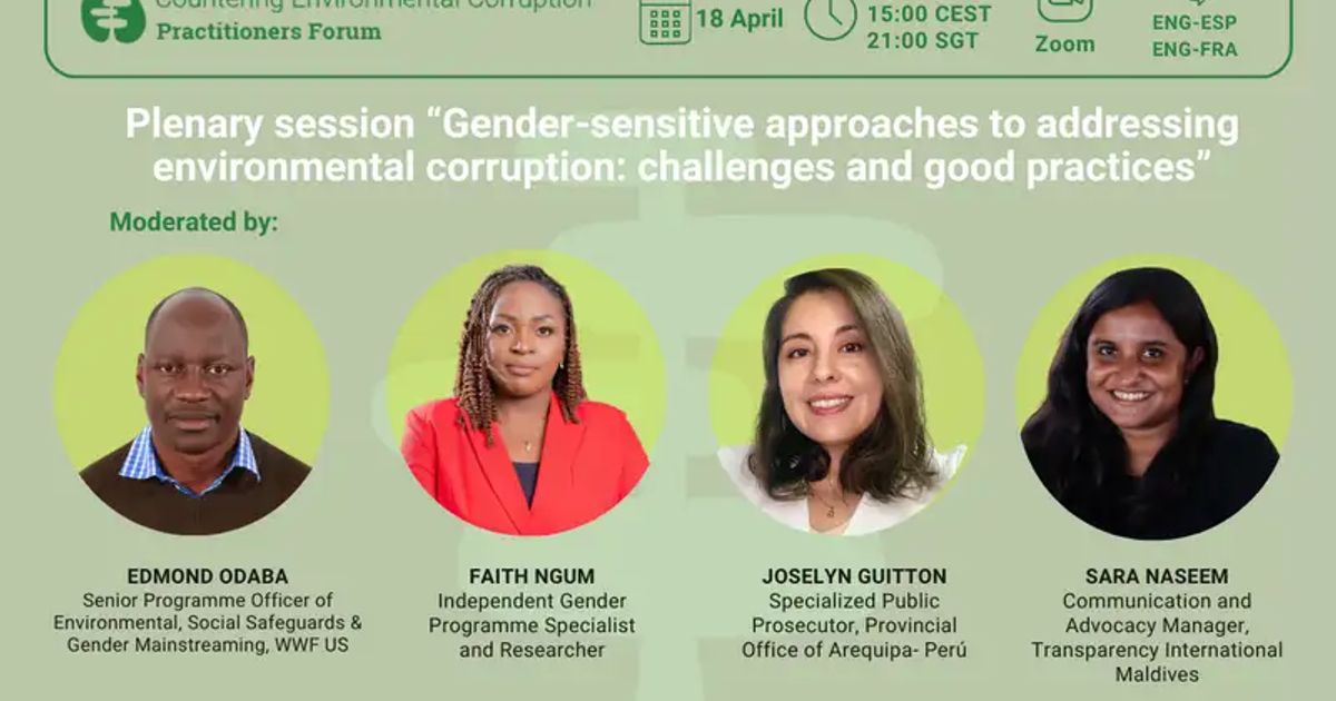 - Countering Environmental Corruption Practitioners Forum – Plenary ...
