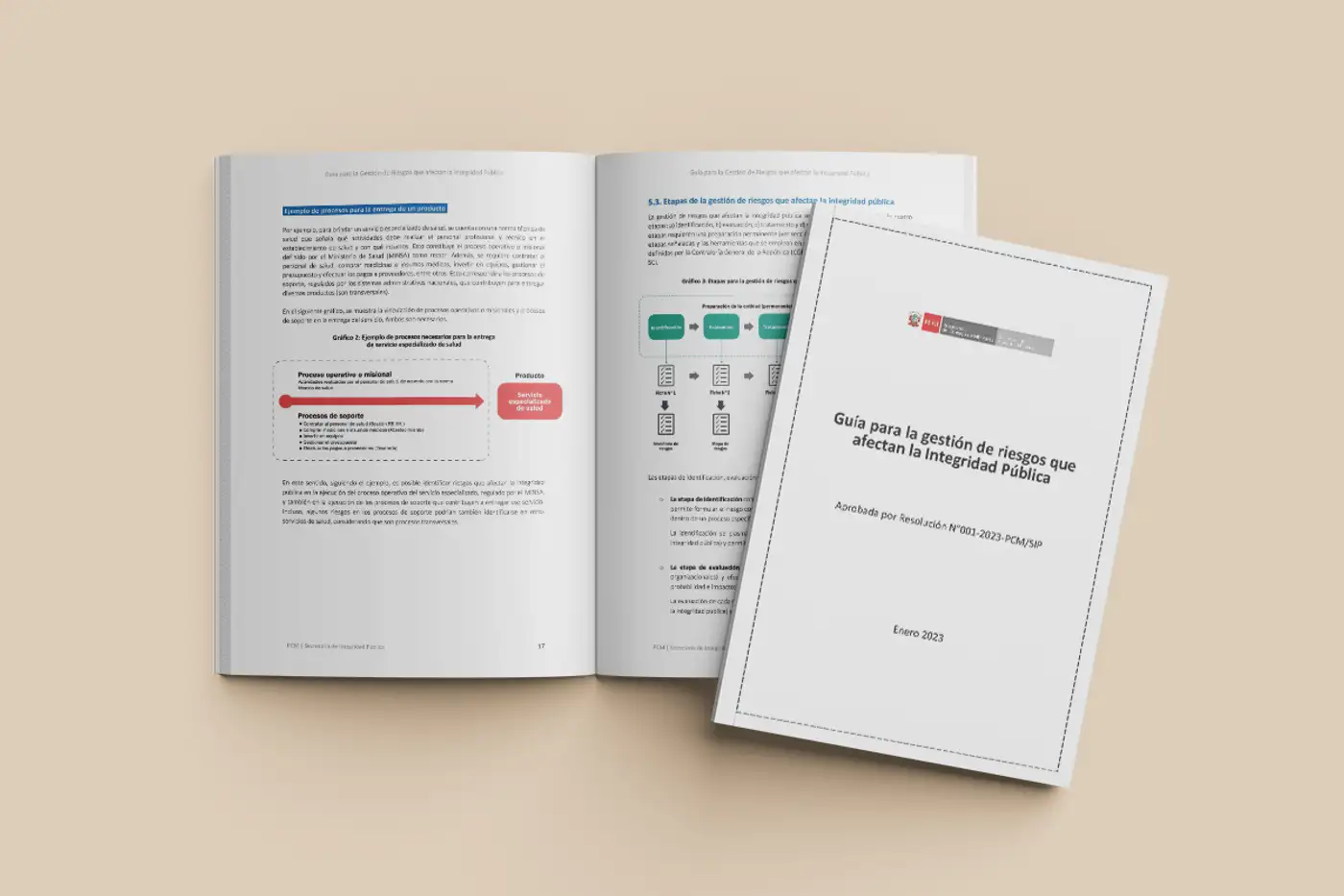Peruvian Government publishes integrity risk management guidelines with support from the Basel Institute’s Public Finance Management programme