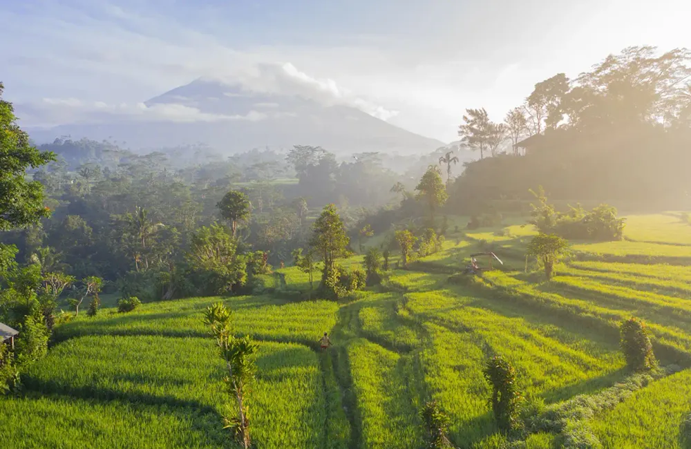 Indonesians’ attitudes to corruption and the environment – results of new survey released on 18 August