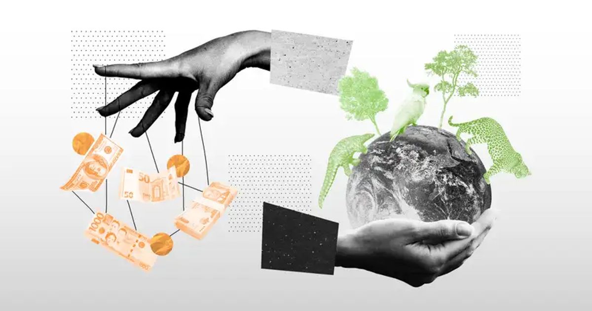 Event - Green Corruption: can compliance save the day? | Basel ...