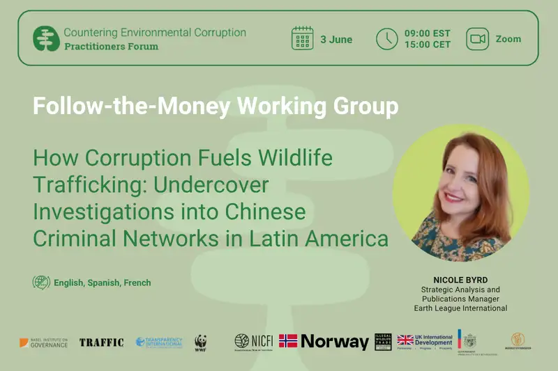 How corruption fuels wildlife trafficking: undercover investigations into Chinese criminal networks in Latin America