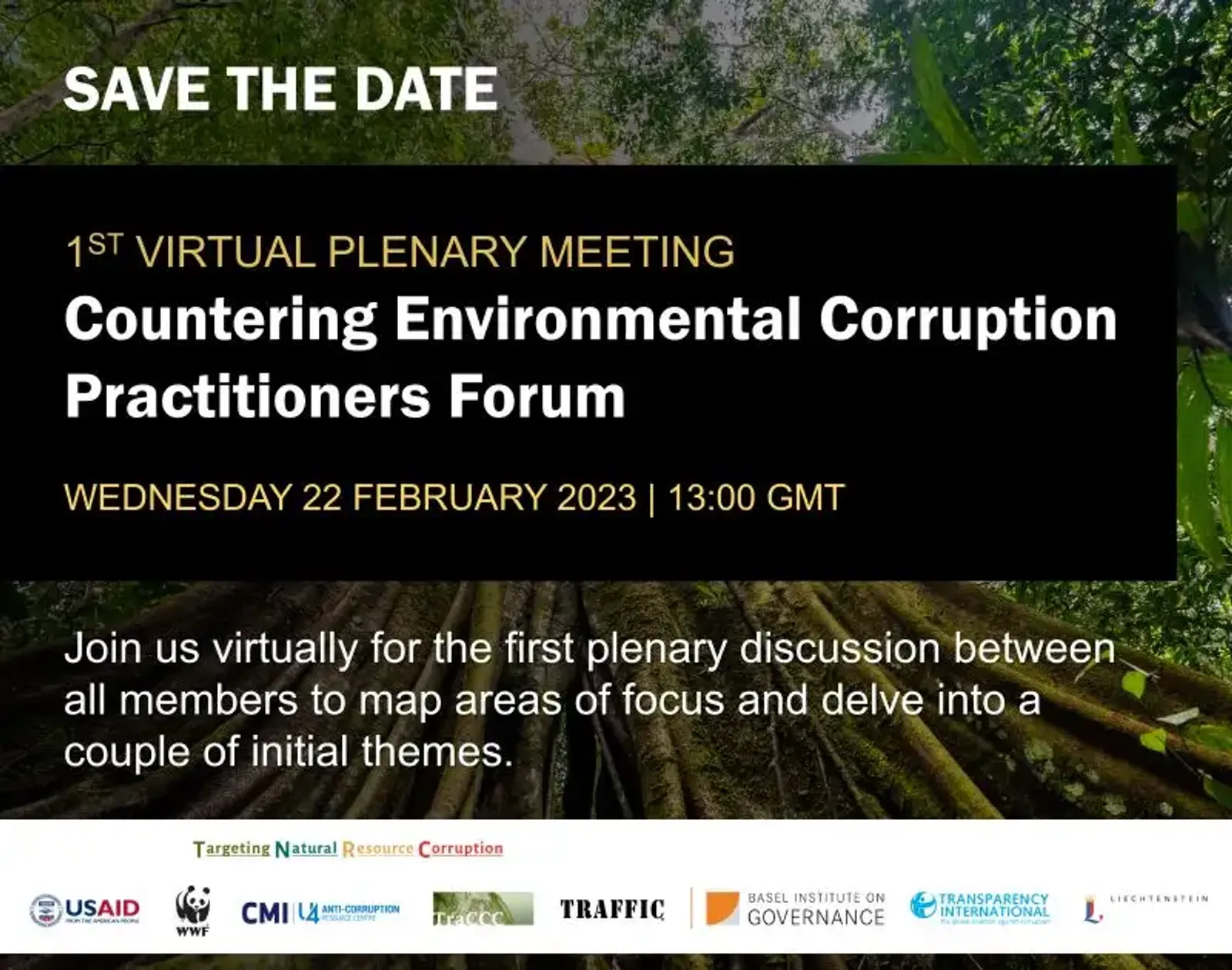 Countering Environmental Corruption Practitioners Forum – 1st plenary meeting