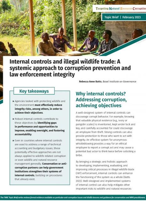 Internal controls and illegal wildlife trade: A systemic approach to corruption prevention and law enforcement integrity