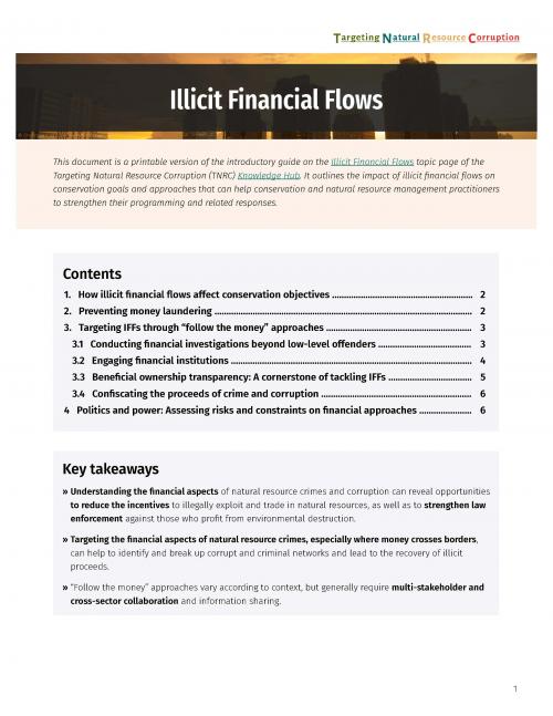 Illicit financial flows and natural resource corruption - a TNRC guide