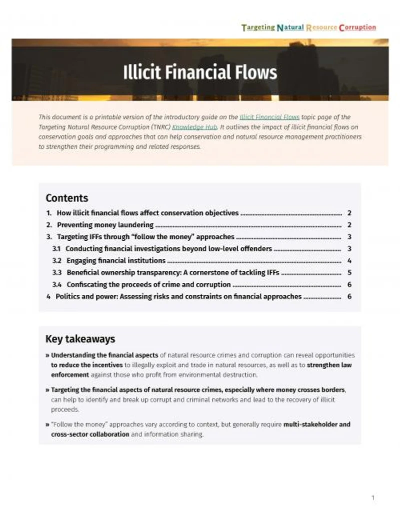 Illicit financial flows and natural resource corruption - a TNRC guide cover
