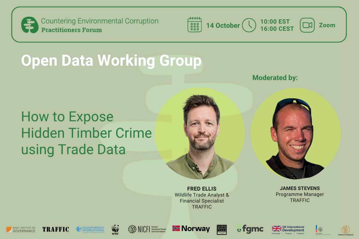 How to expose hidden timber crime with trade data