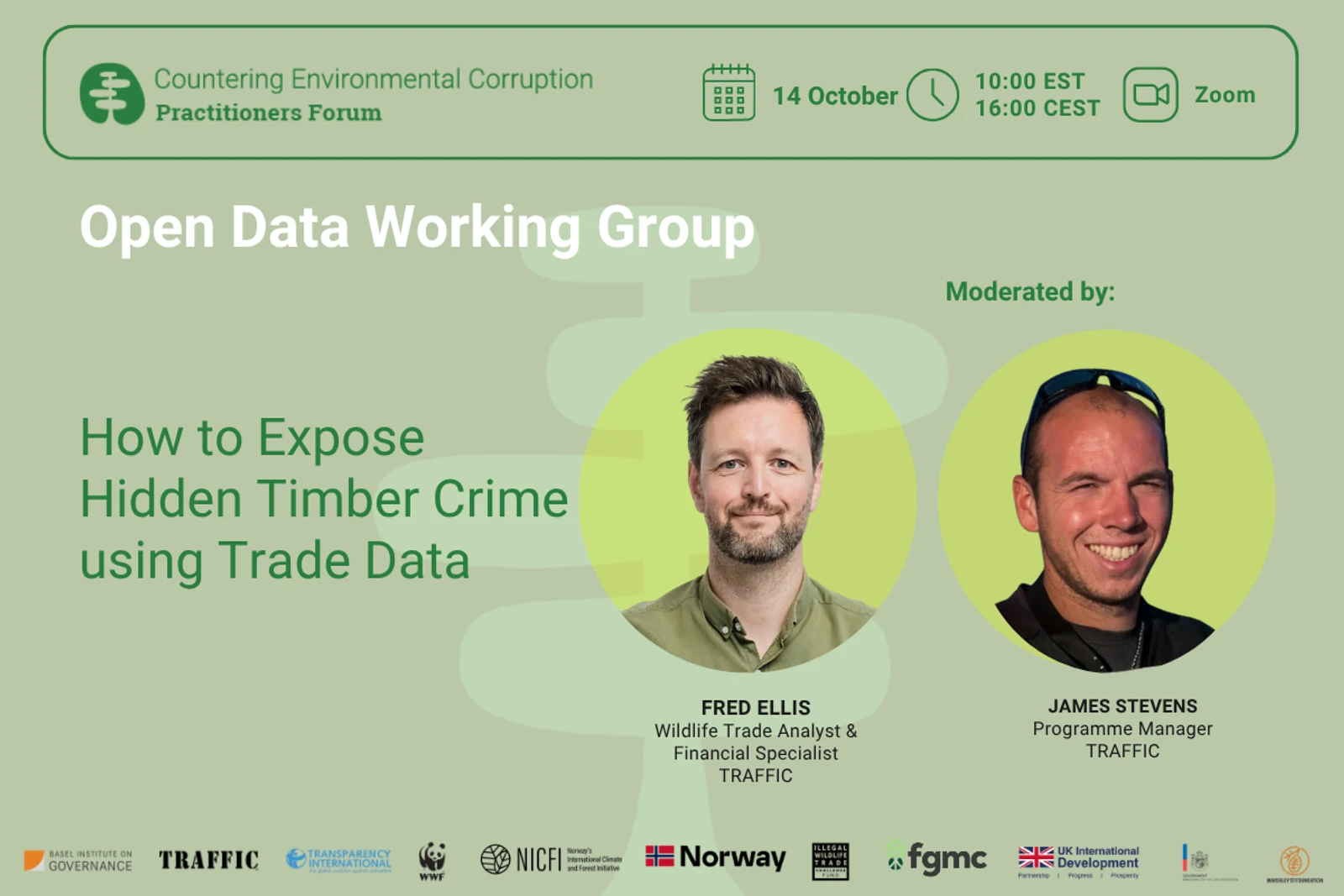 How to expose hidden timber crime with trade data