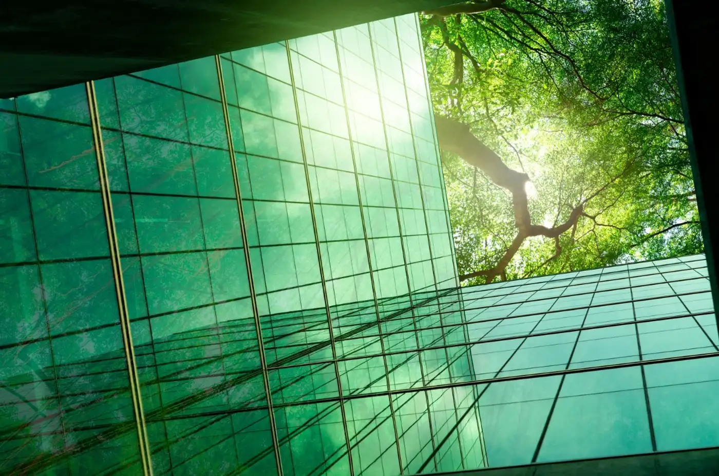 Corporate disclosure on anti-corruption and ESG: three innovative approaches
