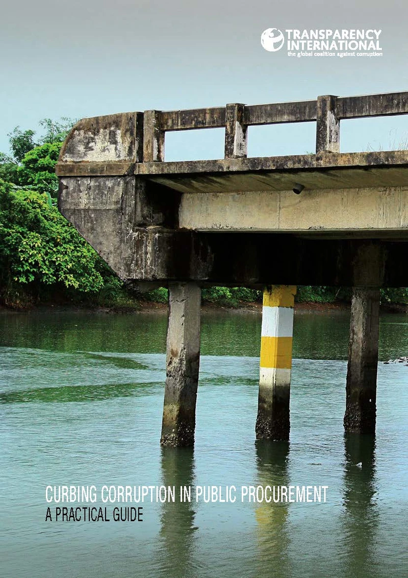 Curbing Corruption in Public Procurement: A Practical Guide cover