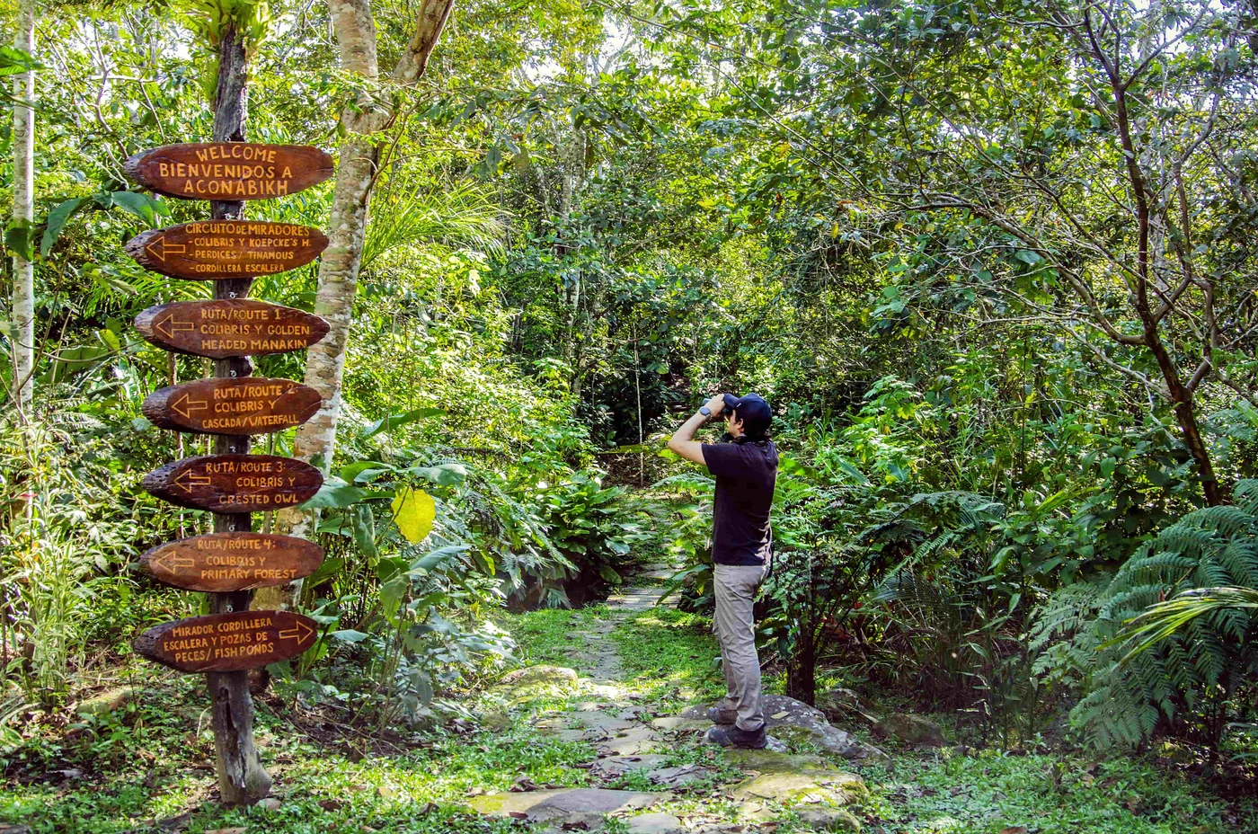 Cordillera Escalera Regional Conservation Area. 