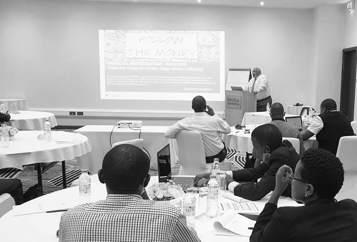 2019: A pilot project on illegal wildlife trade, with seed funding from the Elephant Crisis Fund, paves the way for our Green Corruption programme.