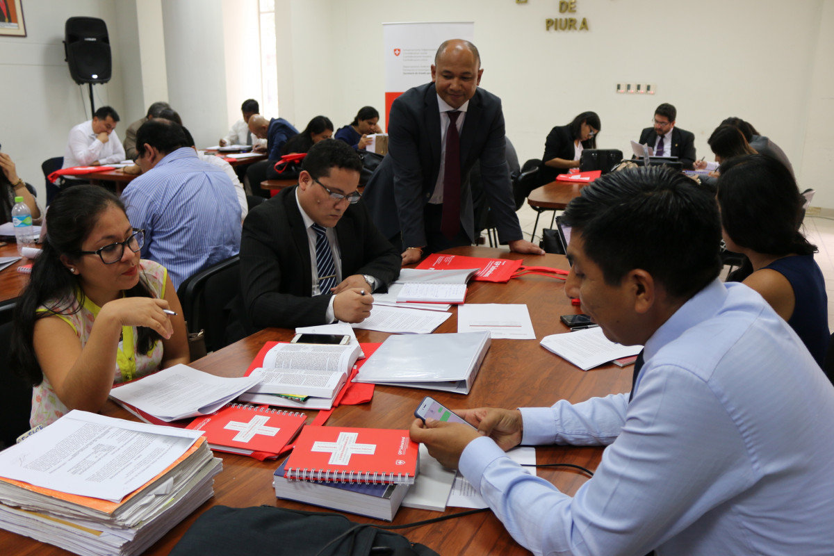 Training session with the Peruvian judiciary