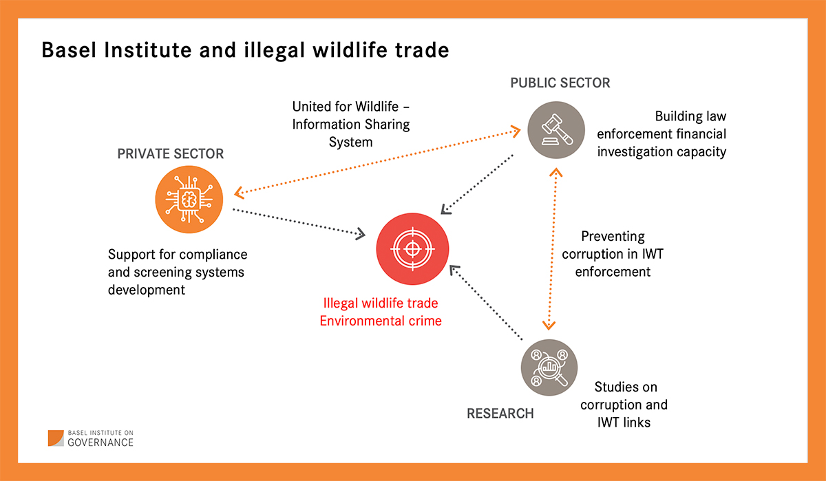 Slide on Basel Institute and IWT