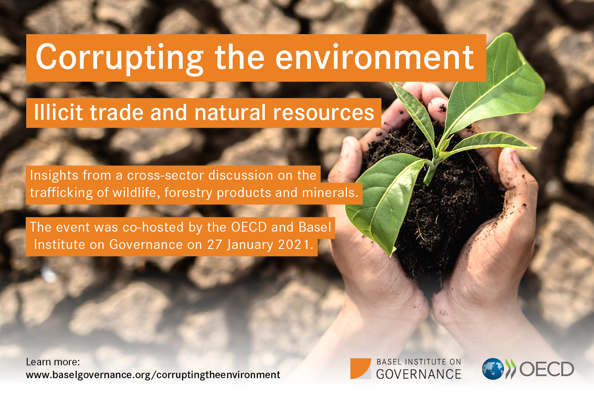 Illicit trade in natural resources webinar