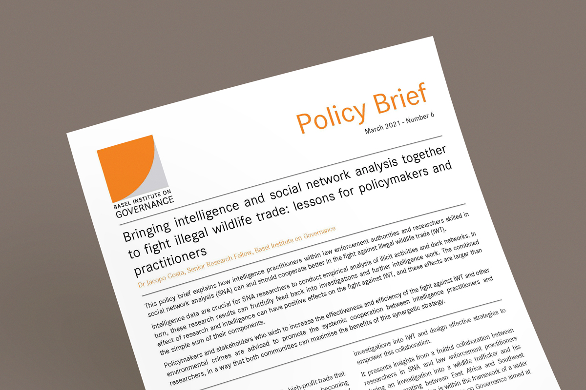 Policy brief 6 mockup