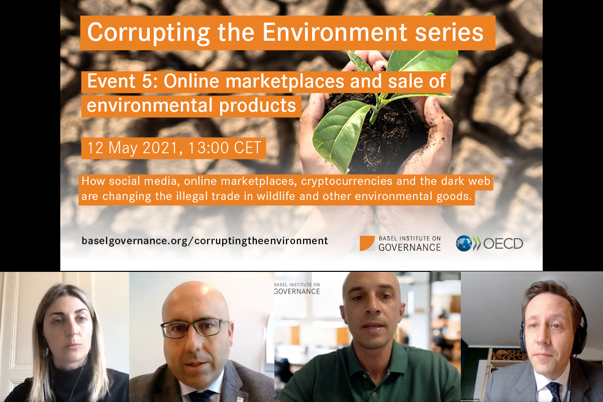 Zoom screenshot and opening slide of Corrupting the Environment series 5 on cybercrime and illegal wildlife trade