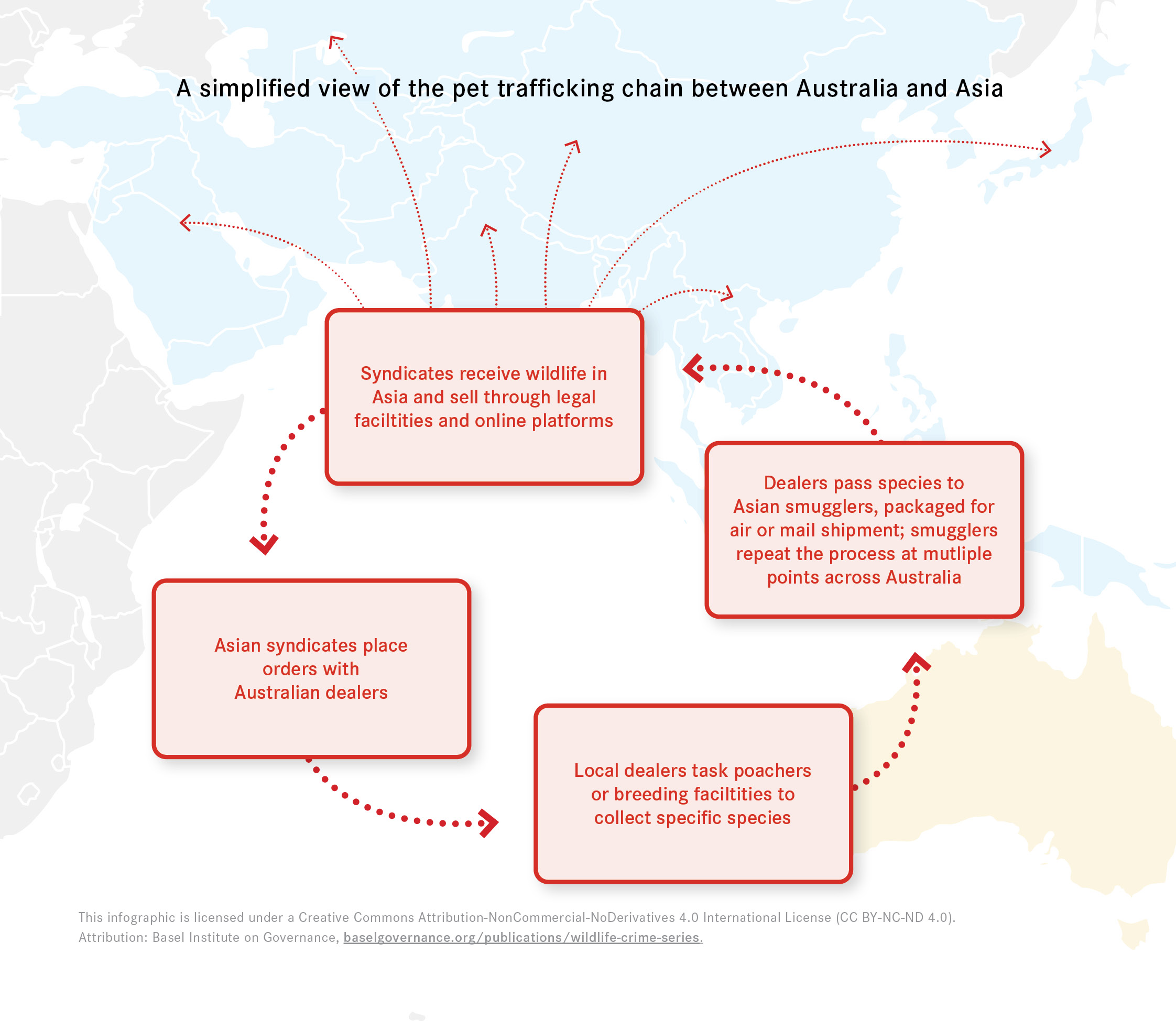 A simplified view of the pet trafficking chain between Australia and Asia
