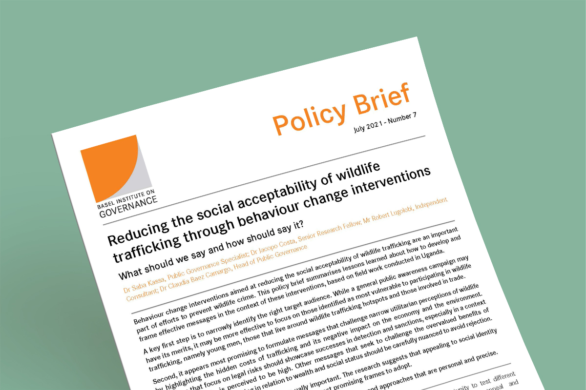 Policy Brief 7