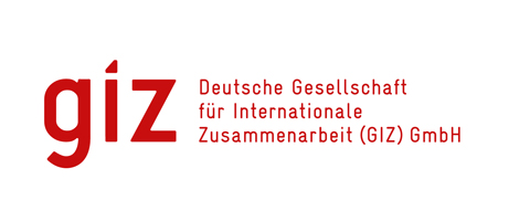 GIZ standard logo with company name