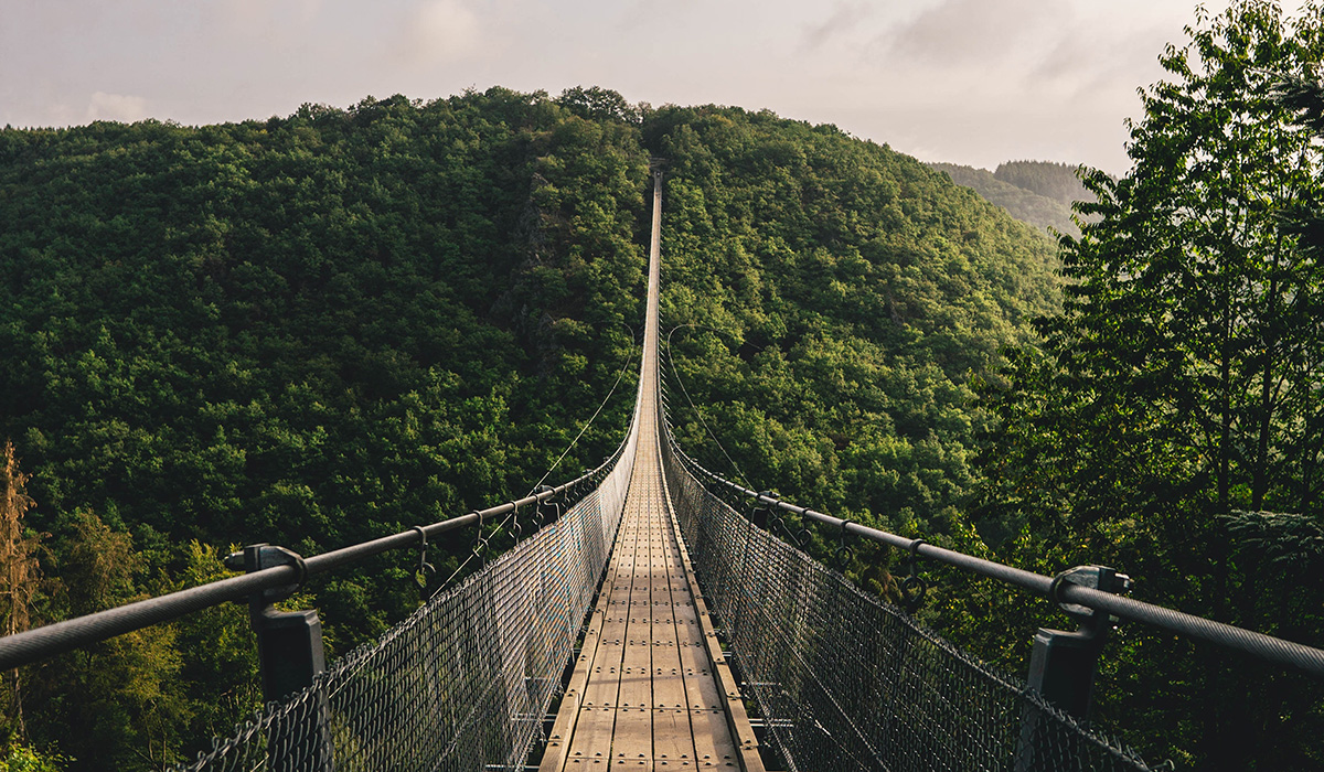 Wooden bridge stretching into the forest