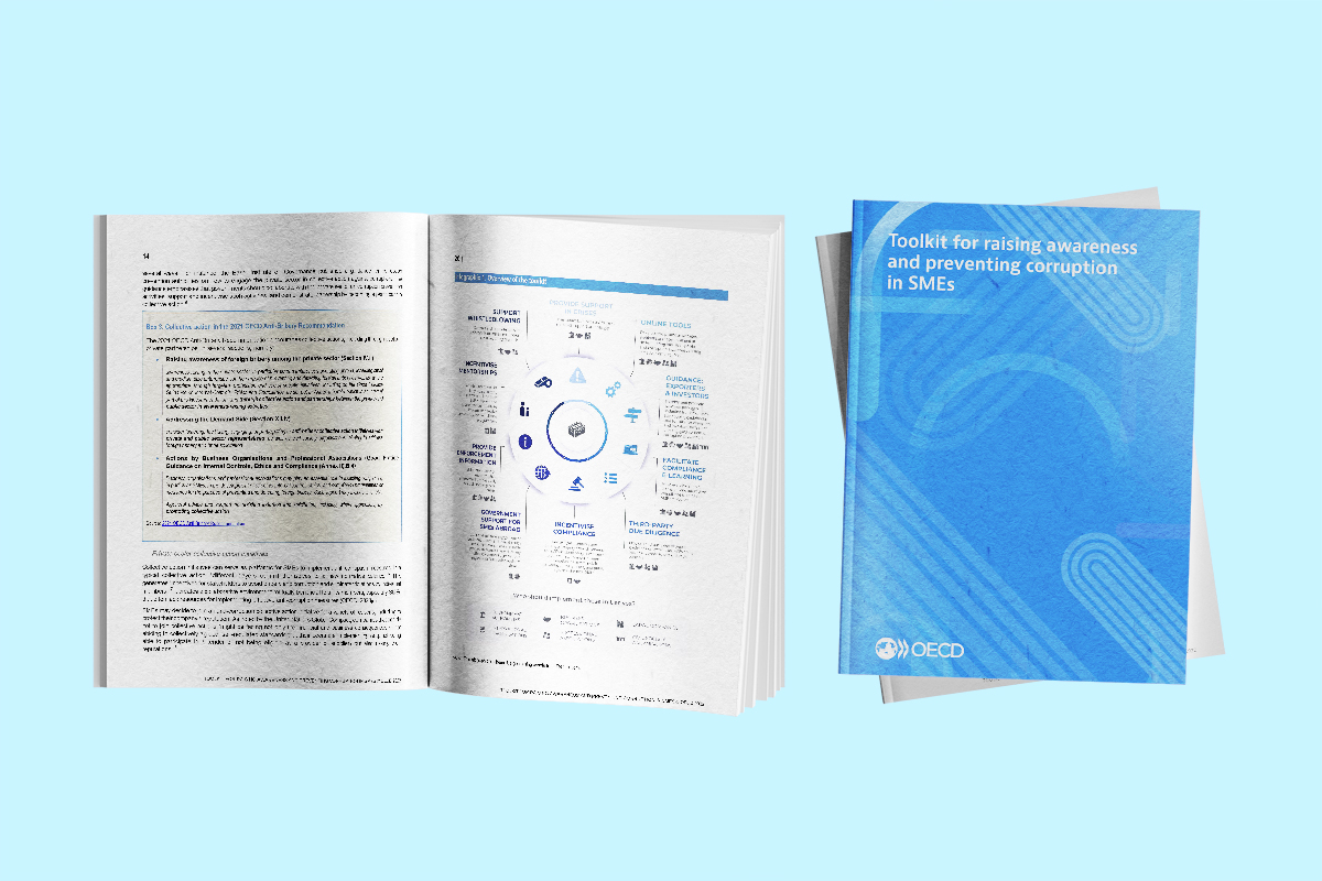 Mockup of OECD toolkit for SMEs