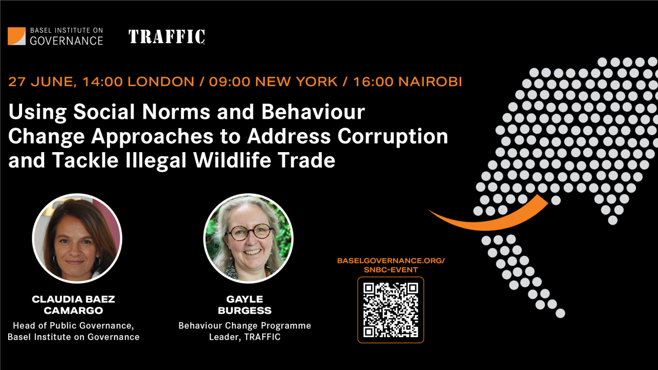 Webinar: Social norm and behaviour change approaches to address corruption and tackle illegal wildlife trade