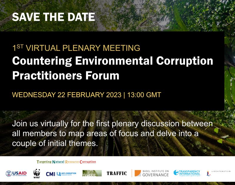 Countering Environmental Corruption Practitioners Forum