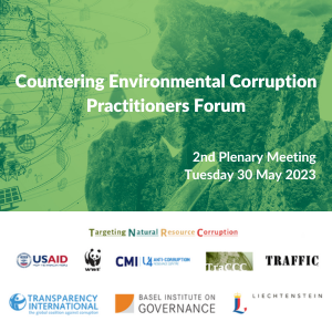 Countering Environmental Corruption 2nd plenary meeting