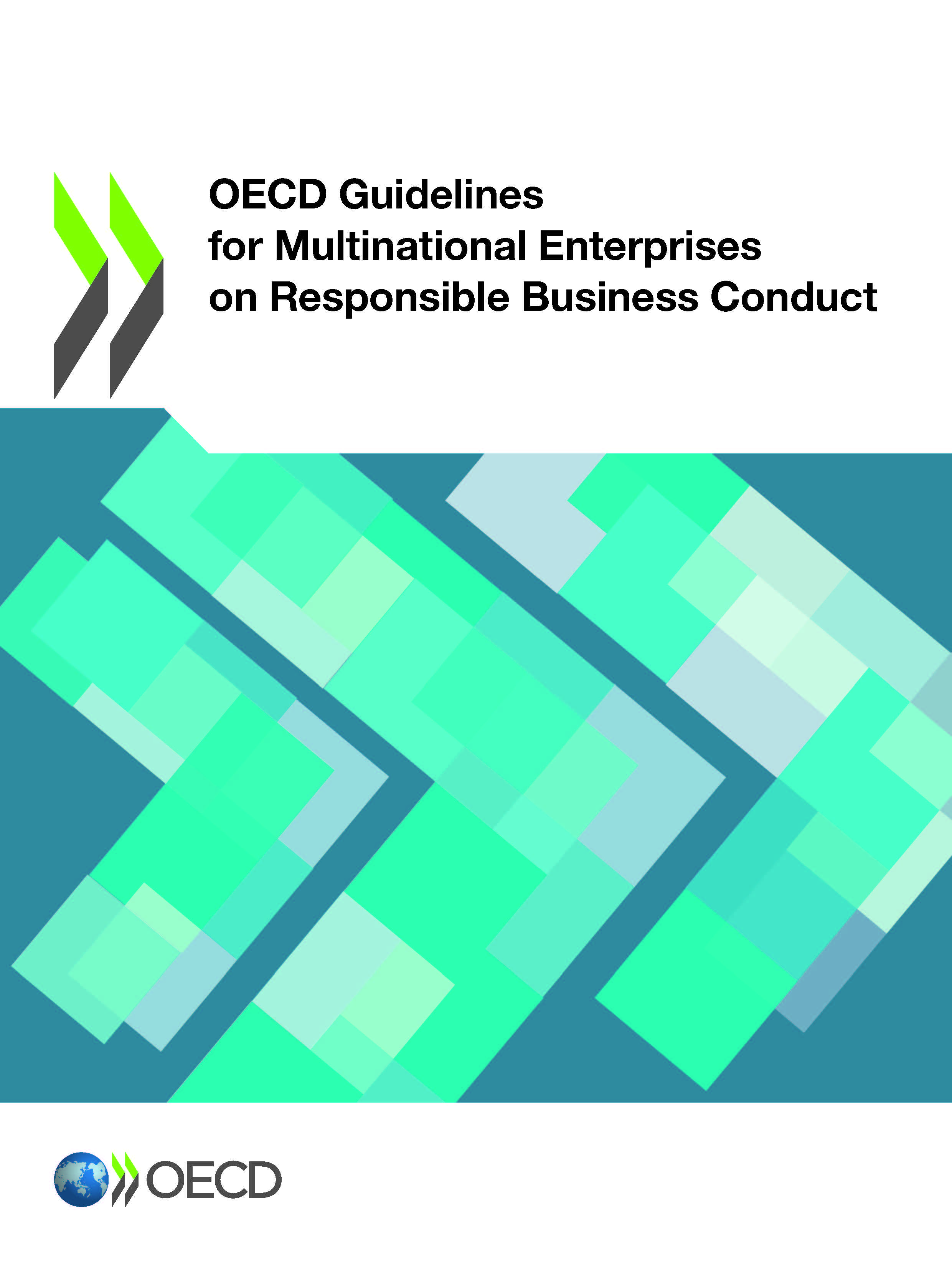 Cover Page from OECD MNE guidelines