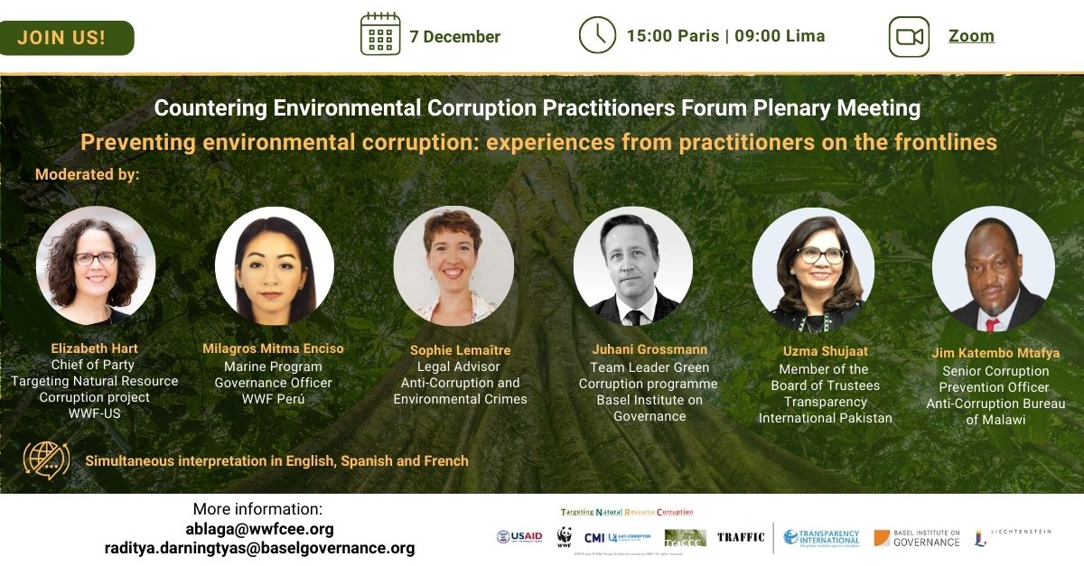 4th plenary meeting countering environmental corruption