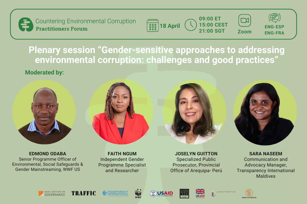 Plenary session on gender and countering environmental corruption - 14 April