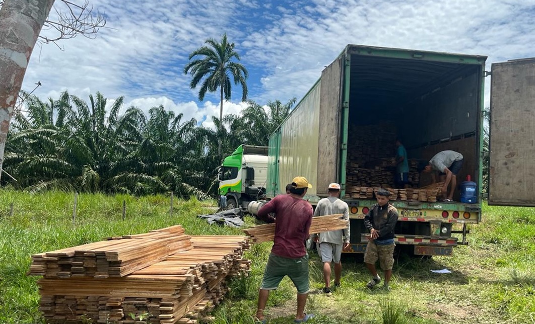 Loading timber in San Martin Peru