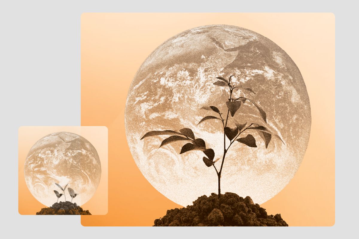 Saplings of hope_Working Paper 61_blog image