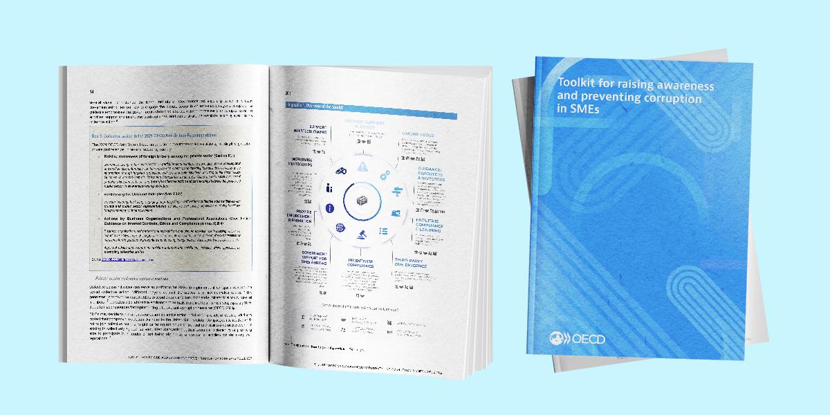 Mockup of OECD toolkit for SMEs