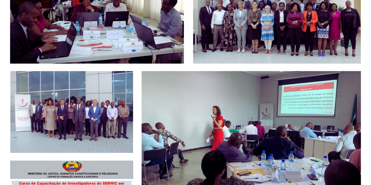 Various trainings from Mozambique