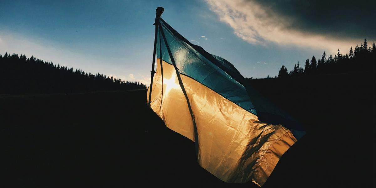 Ukraine Flag